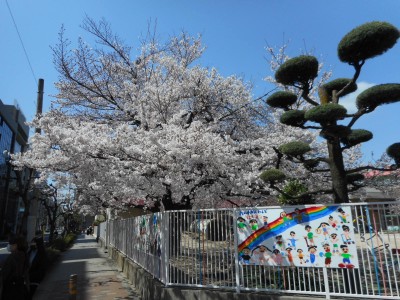 西中島幼稚園　3.24